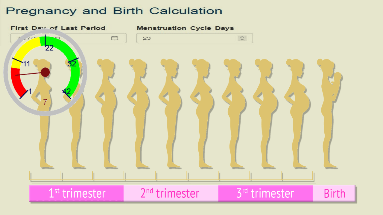 Online women pregnancy calculator expected delivery date